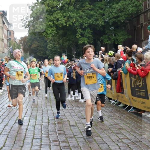 13.09.2026 - Kiel Lauf Yannick Fuchs http://msf.ph/oto/10280511 13.09.2026 08:53:48 Ziel 258, 262, 888, 1149, 1332, 2447, 3234, 4607, 4791, 5120, 6267, 6628, 6702, 6733, 8024, 8671, 8968, 9266, 9816, 10997, 11170, 11593, 12511, 12548, 12711, 12828, 347, 888, 1159, 1919, 2016, 2570, 2614, 2743, 2985, 3210, 3316, 3328, 3419, 4291, 5177, 5284, 5344, 5455, 6004, 6103, 6846, 6894, 6979, 7170, 7240, 7635, 7875, 8095, 8525, 8541, 8819, 8857, 8947, 9410, 10122, 11185, 11455, 11830, 12168, 120, 193, 488, 1529, 1823, 2141, 5432, 5342, 8601 meine-sportfotos.de