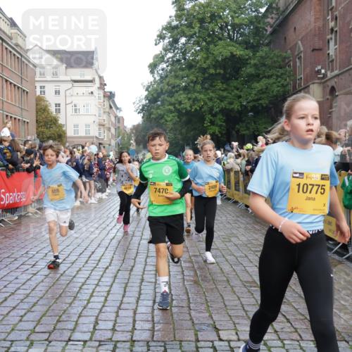 13.09.2026 - Kiel Lauf Yannick Fuchs http://msf.ph/oto/10280546 13.09.2026 08:53:51 Ziel 193, 258, 262, 1332, 1529, 1823, 2141, 2447, 3234, 4607, 4791, 5120, 5432, 6267, 6628, 6702, 6733, 7341, 7815, 8006, 8332, 8671, 9266, 10726, 10997, 11170, 12511, 12548, 12711, 12828, 347, 888, 1149, 1159, 1919, 2016, 2570, 2614, 2743, 3210, 3328, 3419, 4291, 5120, 5177, 5284, 5344, 5455, 6004, 6103, 6846, 6894, 6979, 7170, 7240, 7635, 7875, 8024, 8095, 8525, 8541, 8671, 8819, 8857, 8947, 8968, 9410, 9816, 10122, 10997, 11185, 11455, 11593, 11830, 12168, 12548, 120, 488 meine-sportfotos.de