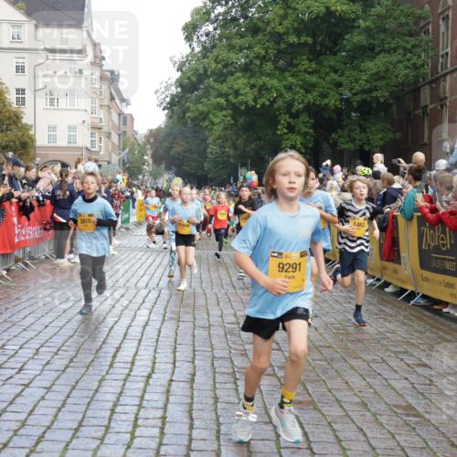 13.09.2026 - Kiel Lauf Yannick Fuchs http://msf.ph/oto/10280587 13.09.2026 08:53:56 Ziel 120, 193, 258, 262, 1244, 1529, 1823, 2122, 2141, 2324, 3234, 4607, 4791, 4956, 5432, 5586, 6267, 6628, 6733, 7341, 7815, 8006, 8332, 9266, 10726, 12511, 12663, 12711, 12829, 347, 888, 1149, 1159, 1332, 2016, 2447, 2570, 2614, 2743, 3210, 3328, 4291, 5120, 5177, 5284, 5344, 5455, 6004, 6702, 6846, 6894, 6979, 7240, 7635, 8024, 8525, 8671, 8857, 8947, 8968, 9410, 9816, 10122, 10997, 11170, 11185, 11455, 11593, 11830, 12168, 12511, 12548, 12828, 488, 1463, 2610, 4059, 7875 meine-sportfotos.de