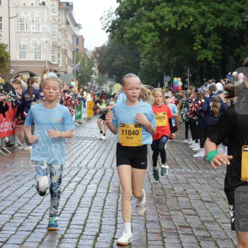 13.09.2026 - Kiel Lauf Yannick Fuchs http://msf.ph/oto/10280608 13.09.2026 08:53:59 Ziel 120, 193, 258, 262, 1244, 1529, 1823, 2122, 2141, 2324, 4607, 4791, 4956, 5432, 5586, 6267, 6733, 7341, 7815, 8006, 8332, 9266, 9880, 10726, 12111, 12663, 12711, 12829, 347, 888, 1149, 1159, 1332, 2016, 2447, 2570, 2614, 3210, 3234, 3328, 5120, 5177, 5344, 5455, 6004, 6628, 6702, 6846, 6894, 6979, 7240, 7635, 8024, 8525, 8671, 8857, 8947, 8968, 9410, 9816, 10122, 10997, 11170, 11185, 11455, 11593, 11830, 12511, 12548, 12828, 488, 1463, 2610, 4059, 4494, 7875 meine-sportfotos.de