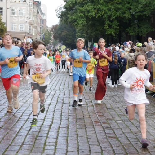 13.09.2026 - Kiel Lauf Yannick Fuchs http://msf.ph/oto/10280656 13.09.2026 08:54:03 Ziel 120, 193, 488, 1244, 1529, 1823, 2122, 2141, 2324, 2489, 4791, 4956, 5236, 5432, 5586, 5993, 6733, 7341, 7470, 7815, 8006, 8332, 9850, 9880, 10726, 10775, 10868, 12111, 12112, 12663, 12711, 12829, 258, 262, 888, 1149, 1159, 1332, 2016, 2447, 3210, 3234, 4607, 4791, 5120, 5177, 5455, 6004, 6267, 6628, 6702, 6733, 7240, 7635, 8024, 8525, 8671, 8857, 8968, 9266, 9816, 10122, 10997, 11170, 11185, 11593, 11830, 12511, 12548, 12711, 12828, 1218, 1463, 2610, 2742, 4059, 4494 meine-sportfotos.de