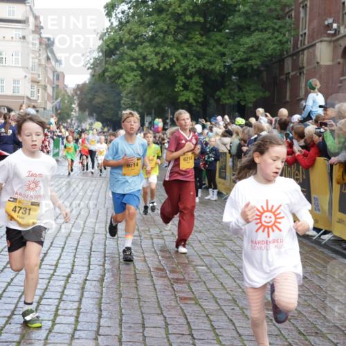 13.09.2026 - Kiel Lauf Yannick Fuchs http://msf.ph/oto/10280659 13.09.2026 08:54:04 Ziel 120, 193, 488, 1244, 1529, 1823, 2122, 2141, 2324, 2489, 4618, 4717, 4956, 5236, 5432, 5586, 5993, 7341, 7470, 7815, 8006, 8332, 9850, 9880, 10726, 10775, 10868, 12111, 12112, 12663, 12829, 193, 258, 262, 888, 1149, 1159, 1332, 1529, 2016, 2447, 3234, 4607, 4791, 5120, 5177, 5432, 5455, 6004, 6267, 6628, 6702, 6733, 7240, 8024, 8332, 8525, 8671, 8857, 8968, 9266, 9816, 10122, 10997, 11170, 11185, 11593, 11830, 12511, 12548, 12711, 12828, 1218, 1463, 2610, 2742, 4059, 4494 meine-sportfotos.de