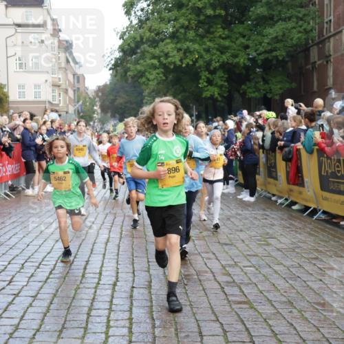 13.09.2026 - Kiel Lauf Yannick Fuchs http://msf.ph/oto/10280701 13.09.2026 08:54:08 Ziel 488, 1244, 1540, 2324, 2489, 4618, 4717, 4956, 5236, 5586, 5993, 6134, 7470, 9291, 9850, 9880, 10775, 10868, 12111, 12112, 12663, 12829, 120, 193, 258, 262, 888, 1149, 1332, 1529, 1823, 2016, 2122, 2141, 2447, 3234, 4607, 4791, 5120, 5432, 5455, 6004, 6267, 6628, 6702, 6733, 7341, 7815, 8006, 8024, 8332, 8525, 8671, 8968, 9266, 9816, 10726, 10997, 11170, 11593, 11830, 12511, 12548, 12711, 12828, 241, 1218, 1463, 2610, 2742, 3211, 3896, 4059, 4494 meine-sportfotos.de