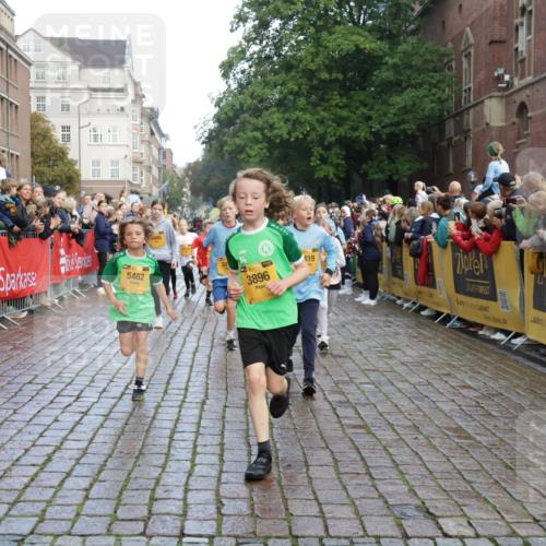 13.09.2026 - Kiel Lauf Yannick Fuchs http://msf.ph/oto/10280709 13.09.2026 08:54:08 Ziel 488, 1244, 1540, 2324, 2489, 4618, 4717, 4956, 5236, 5586, 5993, 6134, 7470, 9291, 9850, 9880, 10775, 10868, 12111, 12112, 12663, 12829, 120, 193, 258, 262, 888, 1149, 1332, 1529, 1823, 2016, 2122, 2141, 2447, 3234, 4607, 4791, 5120, 5432, 5455, 6004, 6267, 6628, 6702, 6733, 7341, 7815, 8006, 8024, 8332, 8525, 8671, 8968, 9266, 9816, 10726, 10997, 11170, 11593, 11830, 12511, 12548, 12711, 12828, 241, 1218, 1463, 2610, 2742, 3211, 3896, 4059, 4494 meine-sportfotos.de