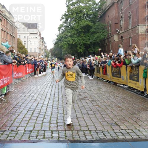 13.09.2026 - Kiel Lauf Yannick Fuchs http://msf.ph/oto/10280799 13.09.2026 08:54:15 Ziel 488, 1218, 1463, 1540, 2489, 2610, 4059, 4494, 4618, 4717, 4731, 5041, 5236, 5993, 6030, 6134, 7470, 9291, 9447, 9850, 10775, 10868, 10920, 11468, 11672, 11840, 12112, 120, 193, 258, 262, 1149, 1244, 1332, 1529, 1823, 2122, 2141, 2324, 2447, 3234, 4607, 4791, 4956, 5120, 5432, 5586, 6267, 6628, 6702, 6733, 7341, 7815, 8006, 8024, 8332, 8671, 8968, 9266, 9880, 10726, 10997, 11170, 12111, 12511, 12548, 12663, 12711, 12828, 12829, 241, 2742, 3211, 3896, 3936 meine-sportfotos.de