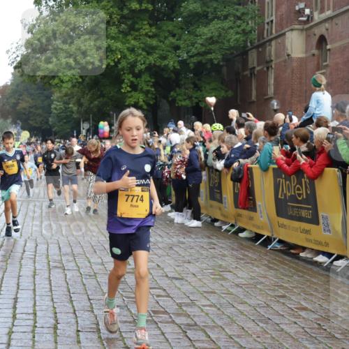 13.09.2026 - Kiel Lauf Yannick Fuchs http://msf.ph/oto/10280809 13.09.2026 08:54:16 Ziel 488, 1218, 1463, 1540, 2489, 2610, 4059, 4494, 4618, 4717, 4731, 5041, 5236, 5993, 6030, 6134, 6618, 7470, 9291, 9447, 9850, 10775, 10868, 10920, 11468, 11672, 11840, 12112, 120, 193, 258, 262, 1244, 1332, 1529, 1823, 2122, 2141, 2324, 2447, 3234, 4607, 4791, 4956, 5120, 5432, 5586, 5993, 6267, 6628, 6702, 6733, 7341, 7815, 8006, 8332, 8671, 9266, 9850, 9880, 10726, 10868, 10997, 11170, 12111, 12112, 12511, 12548, 12663, 12711, 12828, 12829, 241, 2742, 3211, 3896, 3936 meine-sportfotos.de