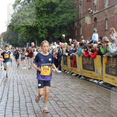 13.09.2026 - Kiel Lauf Yannick Fuchs http://msf.ph/oto/10280812 13.09.2026 08:54:16 Ziel 488, 1218, 1463, 1540, 2489, 2610, 4059, 4494, 4618, 4717, 4731, 5041, 5236, 5993, 6030, 6134, 6618, 7470, 9291, 9447, 9850, 10775, 10868, 10920, 11468, 11672, 11840, 12112, 120, 193, 258, 262, 1244, 1332, 1529, 1823, 2122, 2141, 2324, 2447, 3234, 4607, 4791, 4956, 5120, 5432, 5586, 5993, 6267, 6628, 6702, 6733, 7341, 7815, 8006, 8332, 8671, 9266, 9850, 9880, 10726, 10868, 10997, 11170, 12111, 12112, 12511, 12548, 12663, 12711, 12828, 12829, 241, 2742, 3211, 3896, 3936 meine-sportfotos.de
