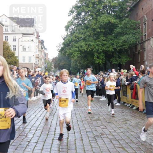 13.09.2026 - Kiel Lauf Yannick Fuchs http://msf.ph/oto/10280935 13.09.2026 08:54:27 Ziel 241, 1218, 2742, 3211, 3896, 3936, 4419, 4494, 4731, 5041, 5462, 5693, 6030, 6214, 6618, 6740, 6945, 7055, 8110, 8111, 8545, 9447, 9714, 10920, 10937, 11656, 120, 193, 258, 262, 488, 1244, 1463, 1529, 1540, 1823, 2122, 2141, 2324, 2489, 2610, 4059, 4618, 4717, 4791, 4956, 5236, 5432, 5586, 5993, 6134, 6733, 7341, 7470, 7815, 8006, 8332, 9291, 9850, 9880, 10726, 10775, 10868, 10920, 11468, 11672, 11840, 12111, 12112, 12663, 12711, 12829, 159, 1701, 2139, 2770, 4227 meine-sportfotos.de