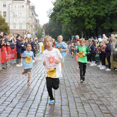 13.09.2026 - Kiel Lauf Yannick Fuchs http://msf.ph/oto/10281037 13.09.2026 08:54:36 Ziel 241, 2139, 2542, 3211, 3457, 3936, 4419, 5462, 5693, 6574, 6740, 6945, 7055, 7774, 8110, 8111, 8670, 8850, 9533, 9698, 10488, 10937, 11656, 241, 488, 1218, 1244, 1463, 1540, 2489, 2610, 2742, 3211, 3896, 4059, 4419, 4494, 4618, 4717, 4731, 5041, 5236, 5462, 5993, 6030, 6134, 6214, 6618, 7055, 7470, 8545, 9291, 9447, 9714, 9850, 9880, 10775, 10868, 10920, 11468, 11672, 11840, 12111, 12112, 12829, 159, 561, 820, 1701, 2699, 2770, 4069, 4227, 4348, 6607, 120, 2122 meine-sportfotos.de