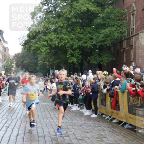 13.09.2026 - Kiel Lauf Yannick Fuchs http://msf.ph/oto/10281080 13.09.2026 08:54:39 Ziel 1701, 2139, 2542, 2754, 3457, 3936, 5693, 6574, 6737, 7774, 7877, 8670, 8850, 9045, 9533, 9698, 10488, 11263, 11433, 11656, 241, 488, 1218, 1463, 1540, 2489, 2610, 2742, 3211, 3896, 3936, 4059, 4419, 4494, 4618, 4717, 4731, 5041, 5236, 5462, 5993, 6030, 6134, 6214, 6618, 6740, 6945, 7055, 7470, 8110, 8111, 8545, 9291, 9447, 9714, 9850, 10775, 10868, 10920, 10937, 11468, 11672, 11840, 12111, 12112, 159, 561, 744, 820, 2699, 2770, 4069, 4227, 4348, 6607, 120, 2122 meine-sportfotos.de