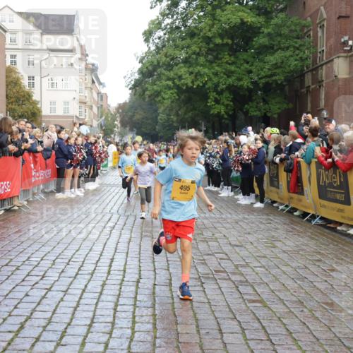 13.09.2026 - Kiel Lauf Yannick Fuchs http://msf.ph/oto/10281136 13.09.2026 08:54:44 Ziel 159, 561, 820, 1701, 2139, 2542, 2754, 2770, 3457, 4227, 5454, 6574, 6737, 7877, 8670, 8850, 9045, 9533, 9698, 10279, 10447, 10488, 11133, 11263, 11433, 12654, 241, 1218, 1463, 1540, 2610, 2742, 3211, 3896, 3936, 4059, 4419, 4494, 4618, 4717, 4731, 5041, 5462, 5693, 6030, 6134, 6214, 6618, 6740, 6945, 7055, 7774, 8110, 8111, 8545, 9291, 9447, 9714, 10920, 10937, 11468, 11656, 11672, 11840, 495, 744, 889, 1450, 2699, 2773, 4069, 4348, 6607 meine-sportfotos.de
