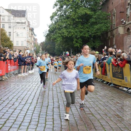 13.09.2026 - Kiel Lauf Yannick Fuchs http://msf.ph/oto/10281157 13.09.2026 08:54:46 Ziel 159, 561, 820, 1701, 2139, 2542, 2754, 2770, 3457, 4227, 5454, 6574, 6737, 7877, 8670, 8850, 9045, 9533, 10279, 10447, 10488, 11133, 11263, 11330, 11433, 11464, 11470, 12654, 241, 1218, 1463, 2542, 2610, 2742, 3211, 3896, 3936, 4059, 4419, 4494, 4731, 5041, 5462, 5693, 6030, 6134, 6214, 6618, 6740, 6945, 7055, 7774, 8110, 8111, 8545, 9291, 9447, 9698, 9714, 10920, 10937, 11468, 11656, 11672, 11840, 471, 495, 744, 889, 1450, 2699, 2773, 4069, 4348, 6607 meine-sportfotos.de