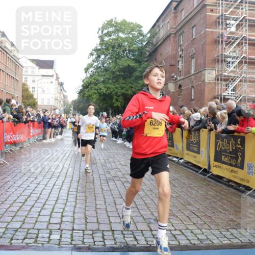 13.09.2026 - Kiel Lauf Yannick Fuchs http://msf.ph/oto/10281271 13.09.2026 08:54:55 Ziel 159, 561, 744, 820, 2699, 2770, 2773, 4069, 4227, 4348, 4828, 5454, 6607, 9163, 10279, 10447, 11133, 11330, 11464, 11470, 11780, 12654, 159, 241, 1218, 1701, 2139, 2542, 2742, 2754, 3211, 3457, 3896, 3936, 4419, 4731, 5041, 5462, 5693, 6030, 6214, 6574, 6618, 6737, 6740, 6945, 7055, 7774, 7877, 8110, 8111, 8545, 8670, 8850, 9045, 9533, 9698, 9714, 10488, 10937, 11263, 11433, 11656, 471, 495, 889, 1450, 1768, 3218, 3219, 3863, 5860, 6206, 8546 meine-sportfotos.de