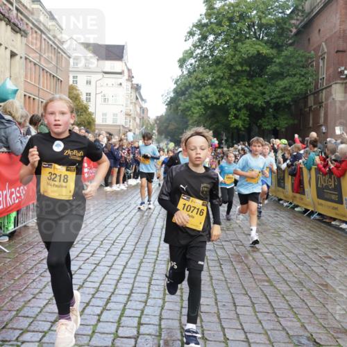 13.09.2026 - Kiel Lauf Yannick Fuchs http://msf.ph/oto/10281298 13.09.2026 08:54:57 Ziel 495, 561, 744, 820, 2699, 2770, 2773, 4069, 4227, 4348, 4828, 6607, 9163, 10279, 10447, 11133, 11330, 11464, 11470, 11780, 159, 241, 1701, 2139, 2542, 2742, 2754, 2770, 3211, 3457, 3896, 3936, 4227, 4419, 5454, 5462, 5693, 6214, 6574, 6737, 6740, 6945, 7055, 7774, 7877, 8110, 8111, 8545, 8670, 8850, 9045, 9533, 9698, 9714, 10279, 10447, 10488, 10937, 11133, 11263, 11433, 11656, 12654, 114, 471, 889, 1450, 1489, 1768, 3218, 3219, 3863, 5860, 6206, 7222, 8546 meine-sportfotos.de