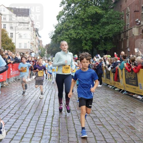 13.09.2026 - Kiel Lauf Yannick Fuchs http://msf.ph/oto/10281332 13.09.2026 08:55:00 Ziel 495, 744, 889, 1450, 2699, 2773, 4069, 4348, 4828, 6570, 6607, 7917, 9163, 11071, 11330, 11464, 11470, 11780, 12349, 159, 241, 561, 820, 1701, 2139, 2542, 2754, 2770, 3211, 3457, 3896, 3936, 4227, 4419, 5454, 5462, 5693, 6574, 6737, 6740, 6945, 7055, 7774, 7877, 8110, 8111, 8670, 8850, 9045, 9533, 9698, 10279, 10447, 10488, 10937, 11133, 11263, 11433, 11464, 11656, 12654, 114, 471, 1109, 1297, 1489, 1768, 3218, 3219, 3356, 3693, 3863, 5225, 5860, 6206, 7072, 7222, 8546 meine-sportfotos.de