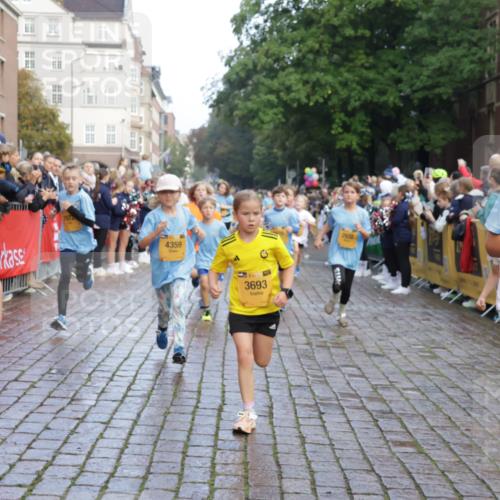 13.09.2026 - Kiel Lauf Yannick Fuchs http://msf.ph/oto/10281361 13.09.2026 08:55:03 Ziel 471, 495, 744, 889, 1450, 2699, 2773, 3863, 4069, 4348, 4828, 5212, 6570, 6607, 7917, 9163, 11071, 11235, 11780, 12349, 159, 561, 820, 1701, 2139, 2542, 2754, 2770, 3457, 3936, 4227, 5454, 5693, 6574, 6607, 6737, 6740, 6945, 7774, 7877, 8110, 8111, 8670, 8850, 9045, 9533, 9698, 10279, 10447, 10488, 11133, 11263, 11330, 11433, 11464, 11470, 11656, 12654, 114, 589, 1109, 1297, 1489, 1768, 2023, 3218, 3219, 3356, 3693, 5225, 5860, 6206, 7072, 7222, 8546, 11656 meine-sportfotos.de