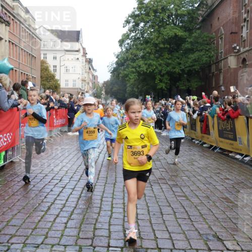 13.09.2026 - Kiel Lauf Yannick Fuchs http://msf.ph/oto/10281375 13.09.2026 08:55:03 Ziel 471, 495, 744, 889, 1450, 2699, 2773, 3863, 4069, 4348, 4828, 5212, 6570, 6607, 7917, 9163, 11071, 11235, 11780, 12349, 159, 561, 820, 1701, 2139, 2542, 2754, 2770, 3457, 3936, 4227, 5454, 5693, 6574, 6607, 6737, 6740, 6945, 7774, 7877, 8110, 8111, 8670, 8850, 9045, 9533, 9698, 10279, 10447, 10488, 11133, 11263, 11330, 11433, 11464, 11470, 11656, 12654, 114, 589, 1109, 1297, 1489, 1768, 2023, 3218, 3219, 3356, 3693, 5225, 5860, 6206, 7072, 7222, 8546, 11656 meine-sportfotos.de