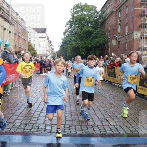13.09.2026 - Kiel Lauf Yannick Fuchs http://msf.ph/oto/10281408 13.09.2026 08:55:06 Ziel 471, 495, 744, 889, 1450, 1768, 2773, 3219, 3863, 4069, 4828, 5212, 6206, 6570, 7917, 9163, 10817, 10822, 11071, 11235, 11573, 12291, 12349, 159, 561, 820, 1701, 2139, 2542, 2699, 2754, 2770, 3457, 4069, 4227, 4348, 5454, 5693, 6574, 6607, 6737, 7774, 7877, 8670, 8850, 9045, 9533, 9698, 10279, 10447, 10488, 11133, 11263, 11330, 11433, 11464, 11470, 11780, 12654, 114, 589, 1106, 1109, 1297, 1489, 2023, 3218, 3356, 3693, 5225, 5860, 7072, 7222, 8546, 11656 meine-sportfotos.de
