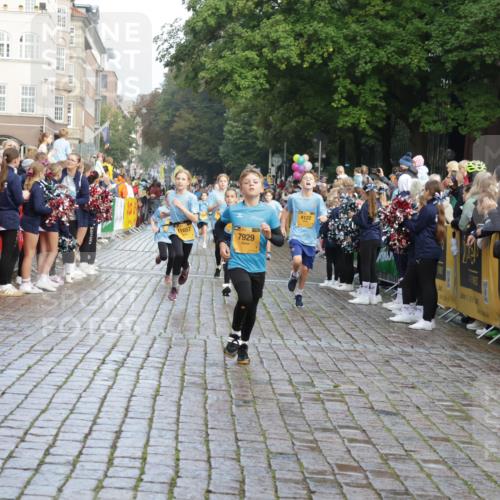 13.09.2026 - Kiel Lauf Yannick Fuchs http://msf.ph/oto/10281541 13.09.2026 08:55:16 Ziel 114, 471, 1109, 1297, 1489, 1768, 3218, 3219, 3356, 3693, 3863, 5212, 5225, 5860, 6206, 7072, 7222, 8546, 9216, 10222, 10604, 10716, 10817, 10822, 11235, 11400, 11573, 12291, 159, 471, 495, 561, 744, 820, 889, 1450, 1701, 2699, 2754, 2770, 2773, 4069, 4227, 4348, 4828, 5454, 6570, 6574, 6607, 6737, 7877, 7917, 9045, 9163, 9533, 10279, 10447, 11071, 11133, 11263, 11330, 11433, 11464, 11470, 11780, 12349, 12654, 329, 589, 1106, 1952, 2023 meine-sportfotos.de