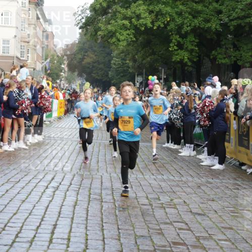 13.09.2026 - Kiel Lauf Yannick Fuchs http://msf.ph/oto/10281544 13.09.2026 08:55:17 Ziel 114, 1109, 1297, 1489, 1768, 2023, 2026, 2932, 3218, 3219, 3356, 3693, 3863, 4359, 5212, 5225, 5860, 6206, 6268, 7072, 7222, 8546, 9216, 10222, 10604, 10716, 10817, 10822, 11235, 11400, 11469, 11573, 12291, 159, 471, 495, 561, 744, 820, 889, 1450, 1701, 2699, 2754, 2770, 2773, 4069, 4227, 4348, 4828, 5454, 6570, 6607, 6737, 7877, 7917, 9045, 9163, 10279, 10447, 11071, 11133, 11263, 11330, 11433, 11464, 11470, 11780, 12349, 12654, 329, 589, 1106, 1952 meine-sportfotos.de