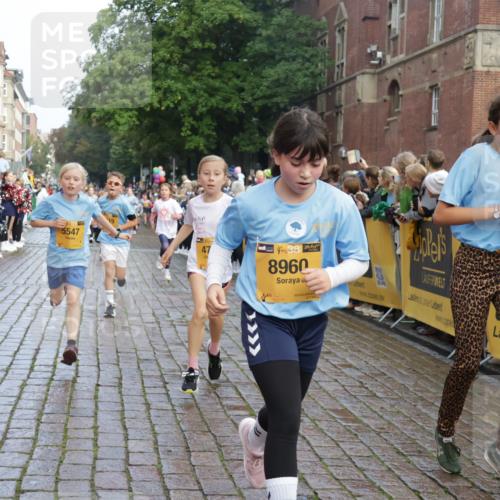 13.09.2026 - Kiel Lauf Yannick Fuchs http://msf.ph/oto/10281789 13.09.2026 08:55:36 Ziel 329, 1952, 2344, 2453, 2642, 4122, 5932, 7207, 7601, 7748, 7852, 7907, 7929, 9344, 10227, 10271, 11657, 12198, 12219, 12530, 12712, 114, 471, 495, 589, 889, 1106, 1109, 1297, 1450, 1489, 1768, 2023, 2026, 2272, 2932, 3218, 3219, 3356, 3693, 3863, 4359, 4760, 4761, 4966, 5212, 5225, 5860, 6206, 6268, 6570, 7072, 7222, 7907, 7917, 8027, 8546, 9216, 10222, 10604, 10716, 10817, 10822, 11071, 11235, 11400, 11469, 11573, 12219, 12349, 277, 1150, 1160, 1310 meine-sportfotos.de