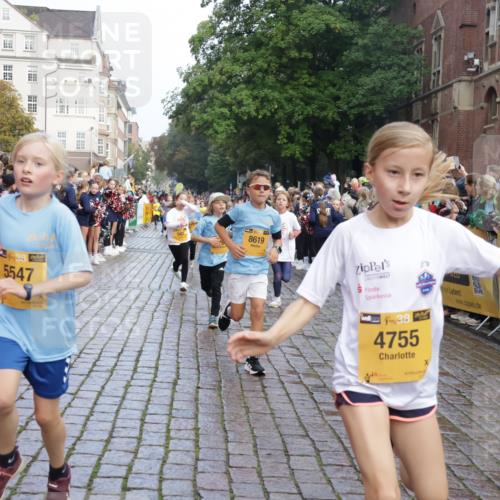 13.09.2026 - Kiel Lauf Yannick Fuchs http://msf.ph/oto/10281795 13.09.2026 08:55:37 Ziel 329, 1952, 2344, 2453, 2642, 2998, 4122, 5932, 7207, 7601, 7748, 7852, 7929, 9033, 9344, 10227, 10271, 11439, 11657, 12198, 12530, 12712, 114, 471, 589, 889, 1106, 1109, 1297, 1450, 1489, 1768, 2023, 2026, 2272, 2932, 3218, 3219, 3356, 3693, 3863, 4359, 4760, 4761, 4966, 5212, 5225, 5860, 6206, 6268, 6570, 7072, 7207, 7222, 7601, 7907, 7917, 8027, 8546, 9216, 9344, 10222, 10604, 10716, 10817, 10822, 11071, 11235, 11400, 11469, 11573, 12219, 12349, 277, 1150, 1160, 1310 meine-sportfotos.de