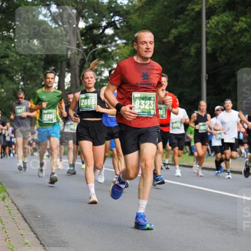 13.09.2026 - 21. swb-Marathon Bremen TobiasT http://msf.ph/oto/10281893 13.09.2026 11:57:53 Laufen 2667, 8886, 2666, 8323 meine-sportfotos.de