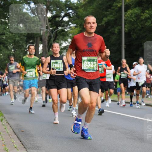 13.09.2026 - 21. swb-Marathon Bremen TobiasT http://msf.ph/oto/10281898 13.09.2026 11:57:53 Laufen 8886, 2666, 8323, 21 meine-sportfotos.de