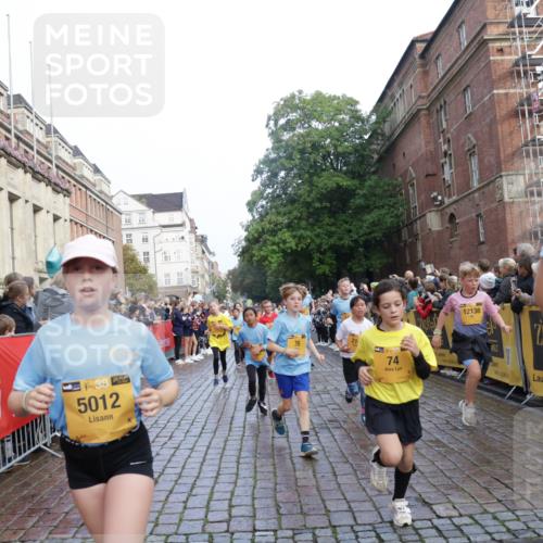 13.09.2026 - Kiel Lauf Yannick Fuchs http://msf.ph/oto/10281911 13.09.2026 08:55:47 Ziel 277, 645, 1150, 1160, 1249, 1310, 1712, 2453, 2998, 3253, 4545, 4682, 5297, 5876, 6290, 7748, 8960, 9033, 9302, 10188, 10227, 10271, 10818, 10934, 11439, 12198, 12712, 114, 329, 589, 1106, 1109, 1297, 1489, 1952, 2023, 2026, 2272, 2344, 2642, 2932, 3218, 3356, 3693, 4122, 4359, 4760, 4761, 4966, 5225, 5860, 5932, 6268, 7072, 7207, 7222, 7601, 7852, 7907, 7929, 8027, 8546, 9216, 9344, 10222, 10604, 10716, 11400, 11469, 11657, 12219, 12712, 74, 76 meine-sportfotos.de
