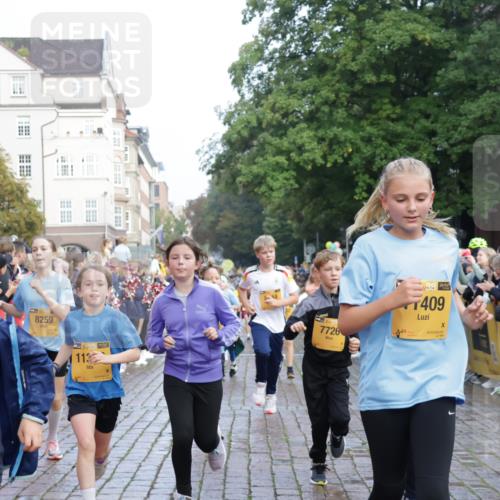13.09.2026 - Kiel Lauf Yannick Fuchs http://msf.ph/oto/10282041 13.09.2026 08:55:59 Ziel 74, 76, 234, 547, 645, 808, 1249, 1581, 2711, 3358, 3409, 3454, 4755, 5259, 5289, 5297, 5547, 5781, 7816, 8527, 8619, 8960, 9792, 9930, 9935, 11376, 12138, 12557, 277, 329, 645, 1106, 1150, 1160, 1310, 1712, 1952, 2344, 2453, 2642, 2998, 3253, 4122, 4545, 4682, 4760, 4761, 4966, 5876, 5932, 6290, 7207, 7601, 7748, 7852, 7907, 7929, 9033, 9302, 9344, 10227, 10271, 10818, 11439, 11657, 12219, 12712, 669, 5823, 114, 7207, 7601, 7907, 12219 meine-sportfotos.de