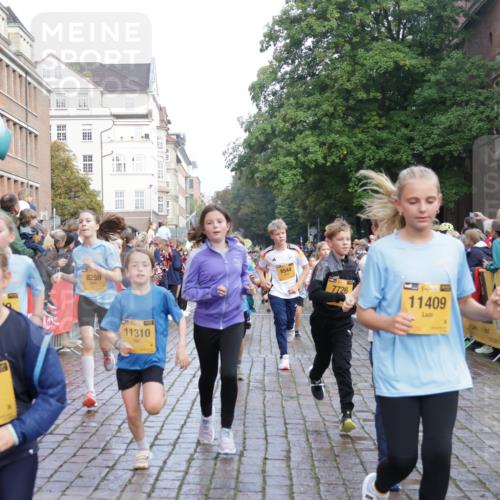 13.09.2026 - Kiel Lauf Yannick Fuchs http://msf.ph/oto/10282045 13.09.2026 08:56:00 Ziel 74, 76, 234, 547, 808, 1126, 1249, 1444, 1581, 2143, 2711, 3358, 3409, 3454, 4755, 5012, 5259, 5289, 5297, 5547, 5781, 7816, 8527, 8619, 8960, 9792, 9930, 9935, 11376, 12138, 12557, 277, 329, 645, 1150, 1160, 1249, 1310, 1712, 1952, 2344, 2453, 2642, 2998, 3253, 4122, 4545, 4682, 4966, 5876, 5932, 6290, 7207, 7601, 7748, 7852, 7907, 7929, 9033, 9302, 9344, 10227, 10271, 10818, 11439, 11657, 12219, 12712, 669, 3750, 4023, 5545, 5823, 329, 7207, 7601, 7907, 12219 meine-sportfotos.de