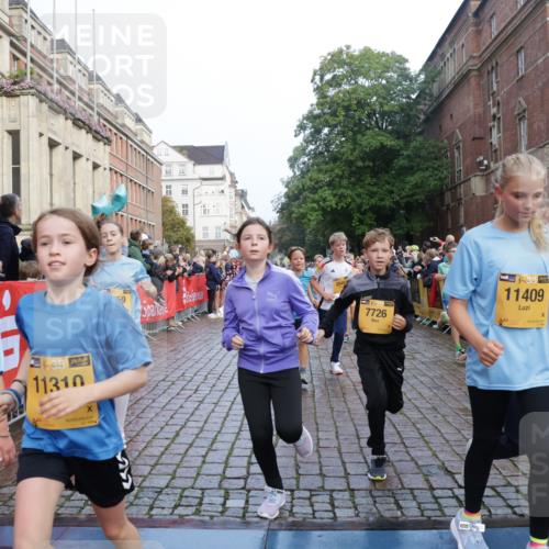 13.09.2026 - Kiel Lauf Yannick Fuchs http://msf.ph/oto/10282059 13.09.2026 08:56:01 Ziel 74, 76, 234, 547, 808, 1126, 1444, 1581, 2143, 2711, 3358, 3409, 3454, 4755, 5012, 5259, 5289, 5297, 5547, 5781, 7155, 7816, 8527, 8619, 8960, 9792, 9930, 9935, 11376, 11995, 12138, 12557, 277, 329, 645, 1150, 1160, 1249, 1310, 1712, 1952, 2344, 2453, 2642, 2998, 3253, 4122, 4545, 4682, 5297, 5876, 5932, 6290, 7207, 7601, 7748, 7852, 7907, 7929, 9033, 9302, 9344, 10227, 10271, 10818, 11439, 11657, 12219, 12712, 669, 3750, 4023, 5545, 5823, 329, 7207, 7601, 7907, 12219 meine-sportfotos.de