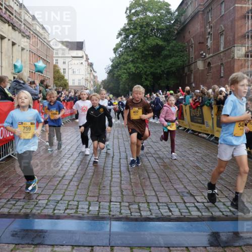 13.09.2026 - Kiel Lauf Yannick Fuchs http://msf.ph/oto/10282145 13.09.2026 08:56:06 Ziel 74, 76, 234, 547, 669, 808, 1126, 1444, 1581, 2143, 2197, 2711, 3179, 3350, 3409, 3454, 5012, 5259, 5759, 5781, 6212, 6232, 6738, 7155, 7489, 7816, 8527, 9374, 9930, 9935, 11376, 11995, 12138, 12242, 12557, 277, 645, 1150, 1160, 1249, 1310, 1712, 1952, 2344, 2453, 2998, 3253, 3358, 4122, 4545, 4682, 4755, 5289, 5297, 5547, 5781, 5876, 6290, 7748, 7929, 9033, 9302, 10227, 10271, 10818, 11439, 11657, 12712, 3750, 4023, 5545, 5823, 329, 7207, 7601, 7907, 12219 meine-sportfotos.de