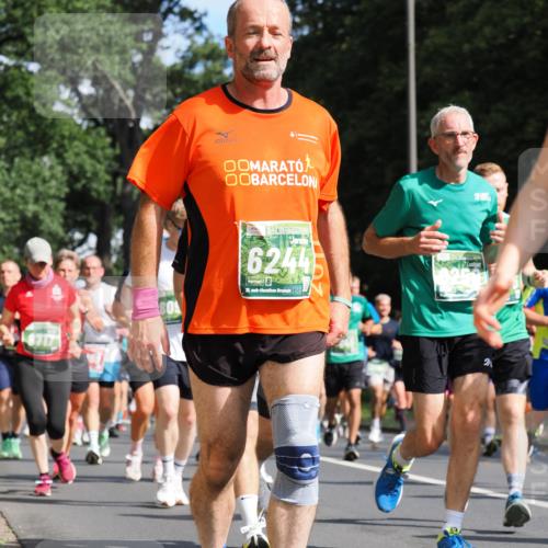 13.09.2026 - 21. swb-Marathon Bremen TobiasT http://msf.ph/oto/10282159 13.09.2026 12:00:02 Laufen 8717, 6244, 21, 26 meine-sportfotos.de