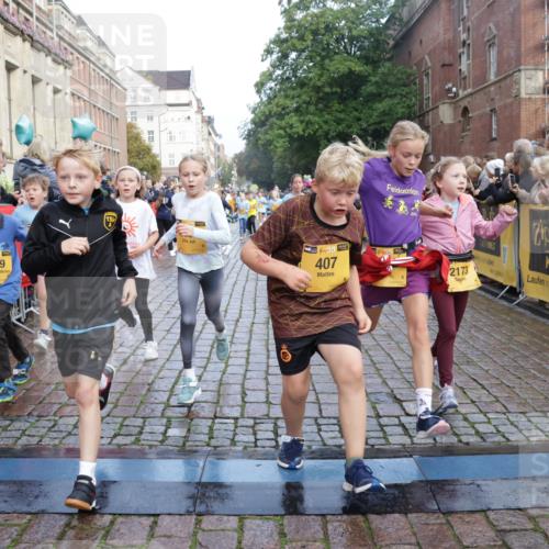 13.09.2026 - Kiel Lauf Yannick Fuchs http://msf.ph/oto/10282160 13.09.2026 08:56:06 Ziel 74, 76, 234, 547, 669, 808, 1126, 1444, 1581, 2143, 2197, 2711, 3179, 3350, 3409, 3454, 5012, 5259, 5759, 5781, 6212, 6232, 6738, 7155, 7489, 7816, 8527, 9374, 9930, 9935, 11376, 11995, 12138, 12242, 12557, 277, 645, 1150, 1160, 1249, 1310, 1712, 1952, 2344, 2453, 2998, 3253, 3358, 4122, 4545, 4682, 4755, 5289, 5297, 5547, 5781, 5876, 6290, 7748, 7929, 9033, 9302, 10227, 10271, 10818, 11439, 11657, 12712, 3750, 4023, 5545, 5823, 329, 7207, 7601, 7907, 12219 meine-sportfotos.de