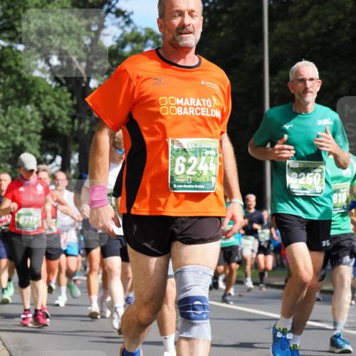 13.09.2026 - 21. swb-Marathon Bremen TobiasT http://msf.ph/oto/10282165 13.09.2026 12:00:02 Laufen 8717, 6244, 21, 20, 8250, 816, 20 meine-sportfotos.de
