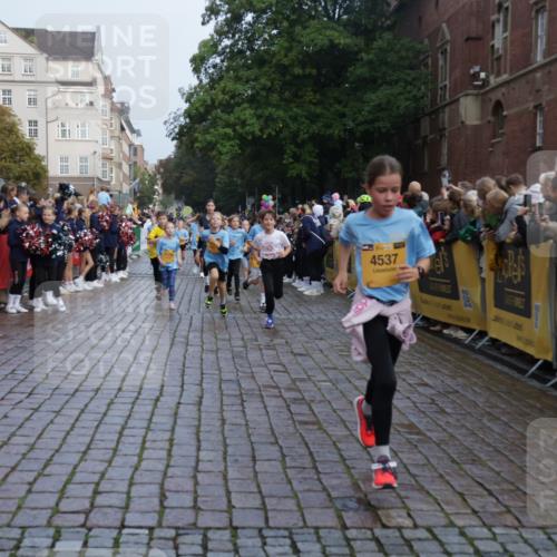 13.09.2026 - Kiel Lauf Yannick Fuchs http://msf.ph/oto/10282195 13.09.2026 08:56:08 Ziel 74, 76, 234, 669, 808, 1126, 1346, 1444, 1581, 2143, 2197, 2685, 2711, 3179, 3350, 3409, 3454, 5012, 5259, 5759, 6212, 6232, 6738, 7155, 7390, 7489, 7816, 8527, 9374, 9930, 9935, 10803, 11376, 11995, 12138, 12242, 12557, 277, 547, 645, 1150, 1160, 1249, 1310, 1712, 2453, 2711, 2998, 3253, 3358, 4122, 4545, 4682, 4755, 5289, 5297, 5547, 5781, 5876, 6290, 7748, 7929, 9033, 9302, 10227, 10271, 10818, 11439, 11657, 12712, 3750, 4023, 5545, 5823, 329, 7207, 7601, 7907, 12219 meine-sportfotos.de