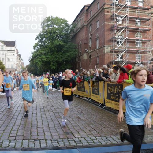 13.09.2026 - Kiel Lauf Yannick Fuchs http://msf.ph/oto/10282284 13.09.2026 08:56:13 Ziel 74, 76, 669, 808, 1126, 1346, 1444, 2143, 2197, 2497, 2640, 2685, 3179, 3350, 4165, 5012, 5687, 5759, 5823, 6003, 6212, 6232, 6275, 6591, 6738, 7155, 7390, 7489, 7726, 7769, 8056, 8259, 8544, 8917, 9374, 10803, 11310, 11409, 11995, 12138, 12242, 74, 234, 277, 547, 645, 808, 1150, 1160, 1249, 1310, 1581, 1712, 2453, 2711, 2998, 3253, 3358, 3409, 3454, 4545, 4682, 4755, 5259, 5289, 5297, 5547, 5781, 5876, 6290, 7748, 9033, 9302, 10227, 10271, 10818, 11439, 3750, 4023, 5545 meine-sportfotos.de