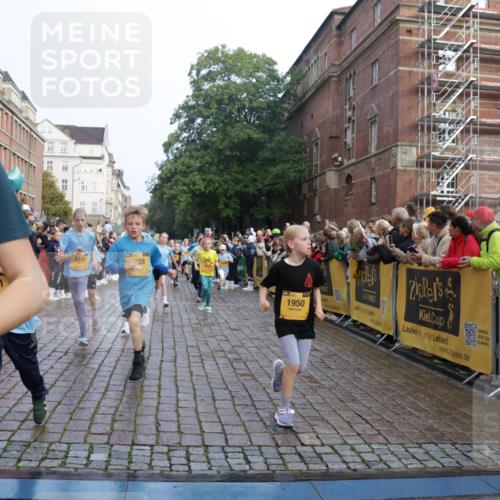 13.09.2026 - Kiel Lauf Yannick Fuchs http://msf.ph/oto/10282285 13.09.2026 08:56:13 Ziel 74, 76, 669, 808, 1126, 1346, 1444, 2143, 2197, 2497, 2640, 2685, 3179, 3350, 4165, 5012, 5687, 5759, 5823, 6003, 6212, 6232, 6275, 6591, 6738, 7155, 7390, 7489, 7726, 7769, 8056, 8259, 8544, 8917, 9374, 10803, 11310, 11409, 11995, 12138, 12242, 74, 234, 277, 547, 645, 808, 1150, 1160, 1249, 1310, 1581, 1712, 2453, 2711, 2998, 3253, 3358, 3409, 3454, 4545, 4682, 4755, 5259, 5289, 5297, 5547, 5781, 5876, 6290, 7748, 9033, 9302, 10227, 10271, 10818, 11439, 3750, 4023, 5545 meine-sportfotos.de