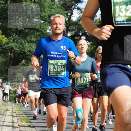 13.09.2026 - 21. swb-Marathon Bremen TobiasT http://msf.ph/oto/10282536 13.09.2026 12:02:11 Laufen 942, 93, 8384, 21, 26, 6071, 21, 132 meine-sportfotos.de