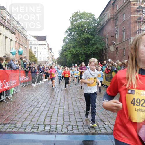 13.09.2026 - Kiel Lauf Yannick Fuchs http://msf.ph/oto/10282643 13.09.2026 08:56:32 Ziel 26, 407, 470, 582, 758, 759, 1009, 1137, 1950, 2173, 2719, 3078, 3930, 4127, 4128, 4537, 4602, 4617, 5315, 5459, 6371, 6449, 7865, 7866, 8160, 8719, 8784, 9021, 9626, 9957, 10091, 10610, 10612, 10939, 11795, 12032, 74, 76, 234, 407, 547, 669, 759, 808, 1126, 1346, 1444, 1581, 2143, 2197, 2497, 2640, 2685, 2711, 3179, 3350, 3409, 3454, 3750, 4023, 4165, 5012, 5259, 5687, 5759, 6003, 6212, 6232, 7390, 9374, 482, 653, 1222, 2479, 2543, 5781 meine-sportfotos.de