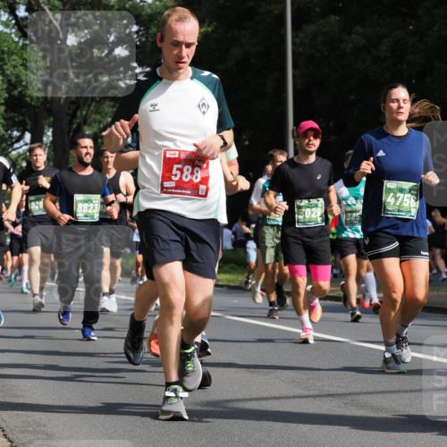 13.09.2026 - 21. swb-Marathon Bremen TobiasT http://msf.ph/oto/10282748 13.09.2026 12:02:45 Laufen 588, 0545, 3029, 385, 4756 meine-sportfotos.de