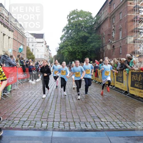13.09.2026 - Kiel Lauf Yannick Fuchs http://msf.ph/oto/10282792 13.09.2026 08:56:39 Ziel 26, 139, 582, 899, 1137, 1285, 1340, 1544, 1950, 2478, 3303, 3520, 3740, 3930, 4127, 4128, 4136, 4188, 4228, 4617, 5097, 5180, 5315, 5597, 6449, 7865, 8160, 8270, 8785, 9021, 9176, 9562, 9626, 10091, 10213, 10612, 10939, 11627, 11978, 12032, 12220, 12700, 76, 407, 470, 582, 669, 758, 759, 1009, 1126, 1346, 1444, 2143, 2173, 2197, 2497, 2640, 2685, 2719, 3078, 3179, 3350, 3750, 4023, 4165, 5012, 5687, 5759, 6003, 6212, 6232, 7390, 9374, 81, 482, 653, 1222, 2479, 2543, 3034, 74 meine-sportfotos.de