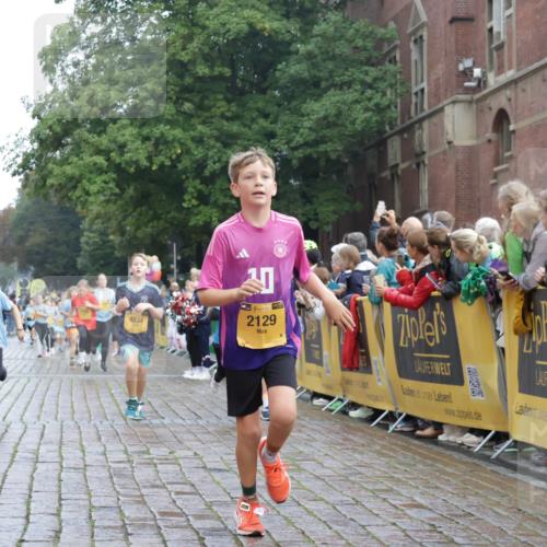 13.09.2026 - Kiel Lauf Yannick Fuchs http://msf.ph/oto/10282970 13.09.2026 08:57:06 Ziel 2384, 3034, 3305, 3665, 4908, 5003, 5340, 5719, 5809, 6361, 7752, 8341, 9542, 9564, 9940, 11423, 11495, 11558, 12215, 12350, 12455, 12512, 12522, 26, 81, 139, 482, 653, 899, 1137, 1222, 1285, 1340, 1544, 2478, 2479, 2543, 3161, 3303, 3520, 3740, 3930, 4127, 4128, 4136, 4188, 4228, 4558, 4680, 4901, 4925, 5223, 5333, 5597, 6807, 6903, 7559, 7927, 8094, 8270, 8424, 9156, 9292, 9307, 9562, 9826, 9940, 10042, 10213, 10603, 11627, 11986, 12062 meine-sportfotos.de
