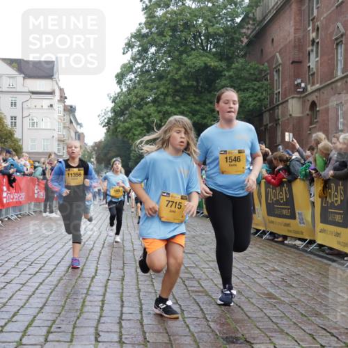 13.09.2026 - Kiel Lauf Yannick Fuchs http://msf.ph/oto/10283096 13.09.2026 08:57:13 Ziel 3665, 5003, 5340, 5719, 5809, 8341, 9542, 10321, 12215, 12512, 81, 139, 482, 653, 899, 1222, 1285, 1340, 1544, 2384, 2478, 2479, 2543, 3034, 3161, 3303, 3305, 3520, 3665, 3740, 4136, 4188, 4228, 4558, 4680, 4901, 4908, 4925, 5223, 5333, 5597, 6361, 6807, 6903, 7559, 7752, 7927, 8094, 8270, 8424, 9156, 9292, 9307, 9562, 9564, 9826, 9940, 10042, 10213, 10603, 11423, 11495, 11558, 11627, 11986, 12062, 12455, 160, 1546, 1769, 5006, 5984, 6459, 7715, 9062, 1285, 3520, 4188 meine-sportfotos.de