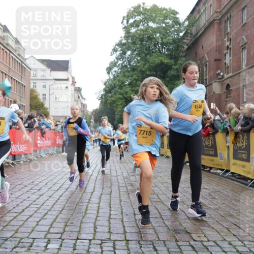 13.09.2026 - Kiel Lauf Yannick Fuchs http://msf.ph/oto/10283099 13.09.2026 08:57:14 Ziel 3382, 5003, 5340, 5719, 5809, 8341, 9542, 10321, 12215, 12512, 81, 139, 482, 653, 899, 1222, 1285, 1340, 1544, 2384, 2478, 2479, 2543, 3034, 3161, 3303, 3305, 3665, 3740, 4136, 4228, 4558, 4680, 4901, 4908, 4925, 5223, 5333, 5340, 5597, 6361, 6807, 6903, 7559, 7752, 7927, 8094, 8270, 8424, 9156, 9292, 9307, 9562, 9564, 9826, 9940, 10042, 10213, 10603, 11423, 11495, 11558, 11627, 11986, 12062, 12455, 160, 1546, 1769, 5006, 5984, 6459, 7715, 9062, 1285, 3520, 4188 meine-sportfotos.de