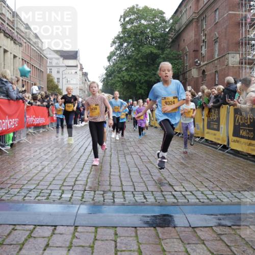 13.09.2026 - Kiel Lauf Yannick Fuchs http://msf.ph/oto/10283228 13.09.2026 08:57:22 Ziel 700, 2128, 2129, 3382, 4834, 7478, 10321, 10892, 81, 482, 653, 1222, 2384, 2479, 2543, 3034, 3161, 3305, 3665, 4558, 4680, 4901, 4908, 4925, 5003, 5223, 5333, 5340, 5719, 5809, 6361, 6807, 6903, 7559, 7752, 7927, 8094, 8341, 8424, 9156, 9307, 9542, 9564, 9826, 9940, 10042, 10321, 10603, 11423, 11495, 11558, 11986, 12062, 12215, 12455, 12512, 160, 406, 689, 1051, 1546, 1714, 1769, 2439, 3359, 4321, 4382, 4383, 5006, 5219, 5244, 5762, 5765, 5984, 6459, 7547, 7608, 7715, 9062 meine-sportfotos.de