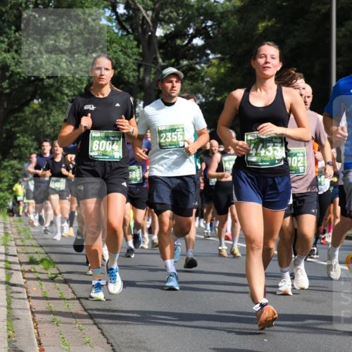 13.09.2026 - 21. swb-Marathon Bremen TobiasT http://msf.ph/oto/10283528 13.09.2026 12:05:18 Laufen 6004, 2355, 4433, 6998, 102 meine-sportfotos.de