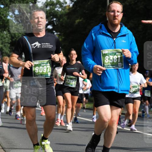 13.09.2026 - 21. swb-Marathon Bremen TobiasT http://msf.ph/oto/10283589 13.09.2026 12:05:32 Laufen 5733, 9091, 21, 26, 2286, 8381, 21, 26, 3635 meine-sportfotos.de