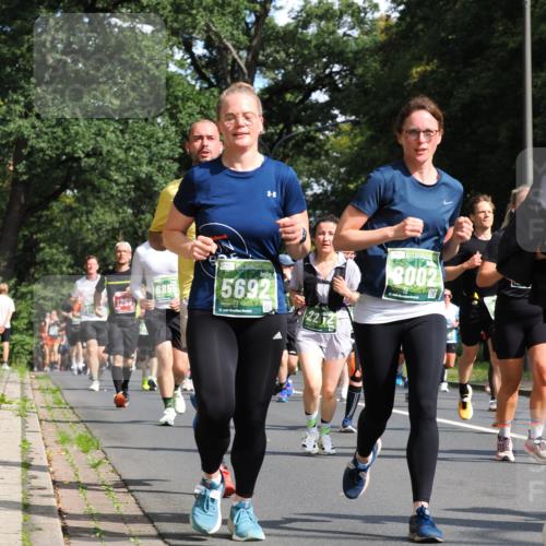 13.09.2026 - 21. swb-Marathon Bremen TobiasT http://msf.ph/oto/10283632 13.09.2026 12:05:49 Laufen 1259, 5692, 21, 126, 22, 8002 meine-sportfotos.de